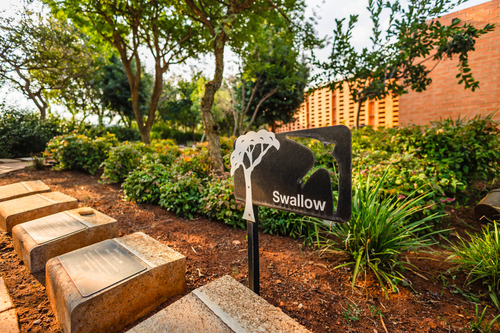 Midstream Garden - 3